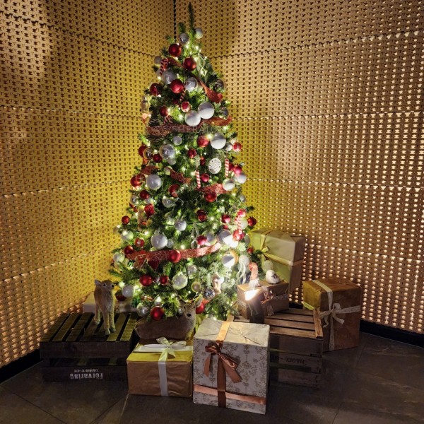 Merry Christmas！